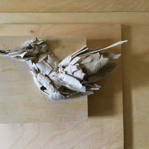Stephani Anderson ''Bird Study 3''