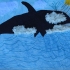 Shamu From Seaworld