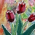 Tulips For My Sister