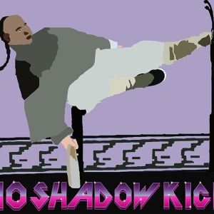 NO SHADOW KICK FLYER