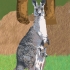 Kangaroo