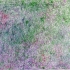Green Atmosphere