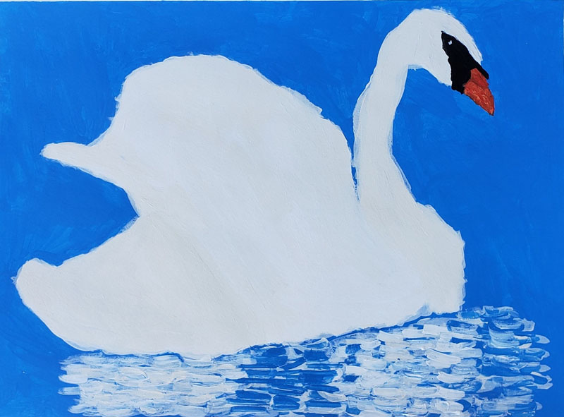 The Most Beautiful Swan You Ever Seen