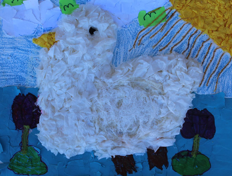 The White Duckling In A Lake At A Park