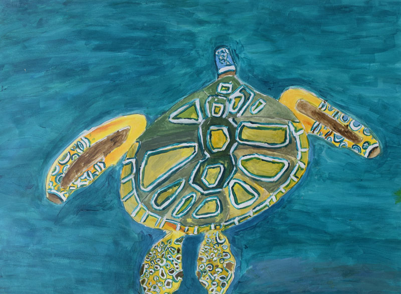 Sea Turtle